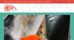 Desktop Screenshot of celinaanimalhospital.com